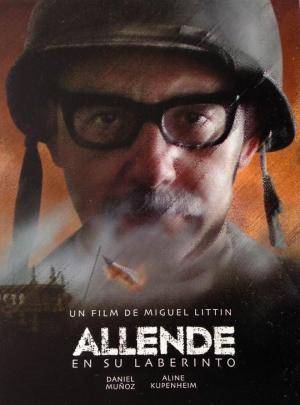 Descargar Allende en su laberinto