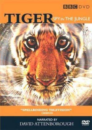 Descargar Tiger: Un espía entre los tigres (Miniserie de TV)