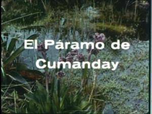 Descargar El páramo de Cumanday (TV) (C)