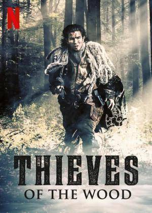 Descargar Los ladrones del bosque (Miniserie de TV)