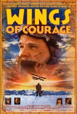 Descargar Las alas del coraje