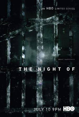 Descargar The Night Of (Miniserie de TV)