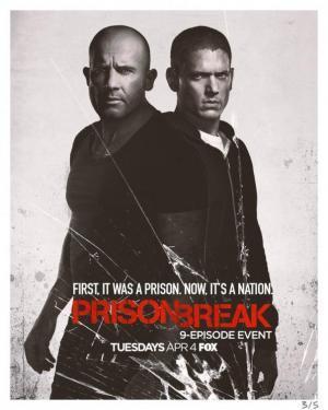 Descargar Prison Break: Sequel (Serie de TV)