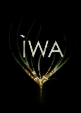 Descargar Iwa (C)