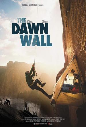 Descargar The Dawn Wall