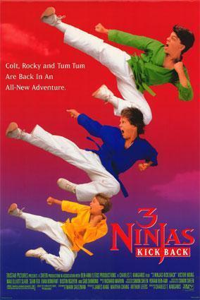 Descargar 3 ninjas contraatacan (Tres pequeños ninjas 2)