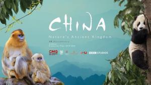 Descargar China: Antiguo reino animal