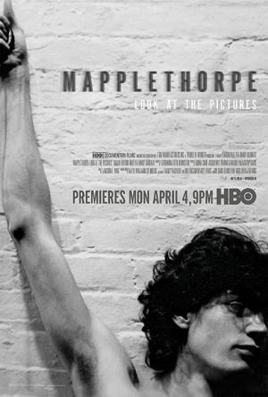 Descargar Mapplethorpe: Look At The Pictures