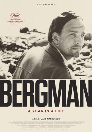 Descargar Bergman, su gran año