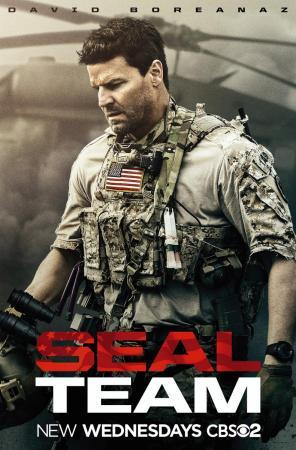 Descargar SEAL Team (Serie de TV)