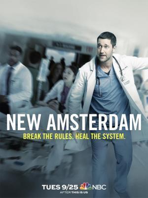 Descargar New Amsterdam (Serie de TV)