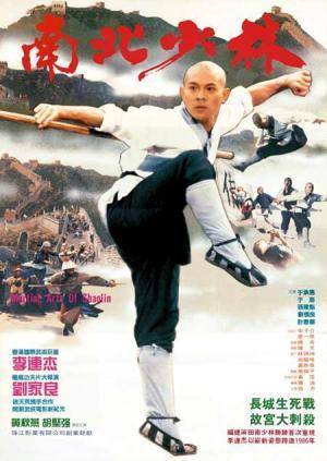 Descargar Las artes marciales de Shaolin (Martial Arts of Shaolin)