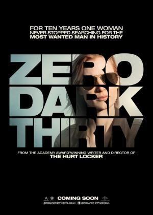 Descargar La noche más oscura (Zero Dark Thirty)