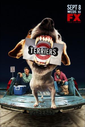 Descargar Terriers (Serie de TV)