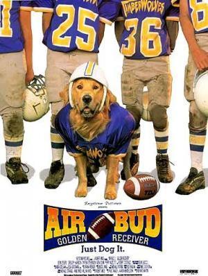 Descargar Air Bud 2: El fichaje de la liga