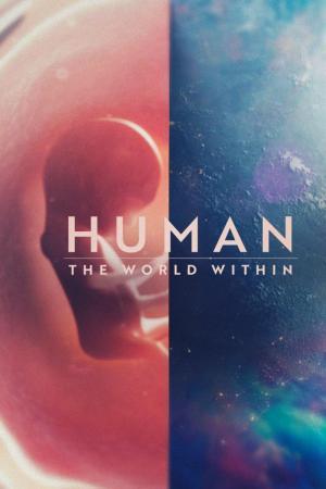 Descargar Dentro del cuerpo humano (Serie de TV)