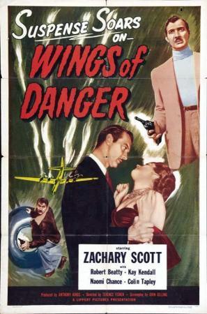 Descargar Wings of Danger