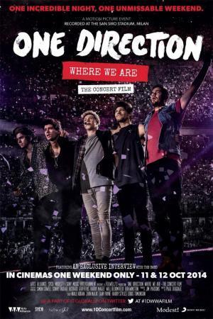 Descargar One Direction: Where We Are - La película del concierto