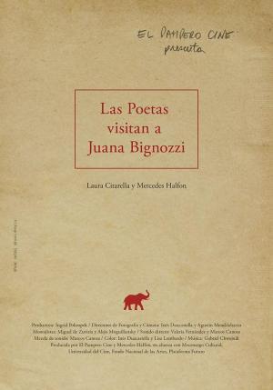 Descargar Las poetas visitan a Juana Bignozzi
