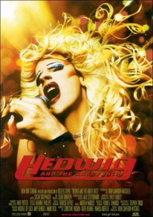 Descargar Hedwig y The Angry Inch