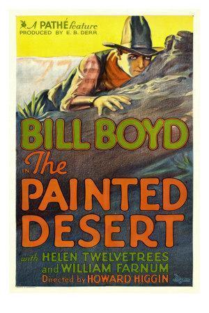 Descargar El desierto pintado