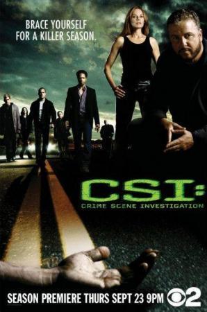 Descargar CSI: Las Vegas (Serie de TV)