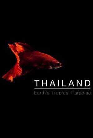 Descargar Tailandia salvaje (Miniserie de TV)