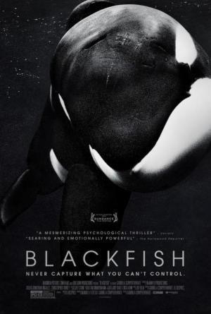 Descargar Blackfish