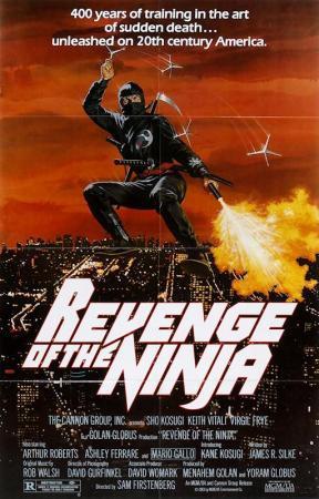 Descargar La venganza del Ninja