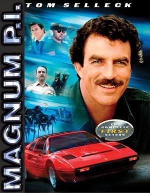 Descargar Magnum (Serie de TV)