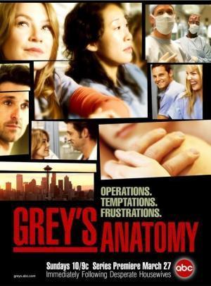 Descargar Anatomía de Grey (Serie de TV)
