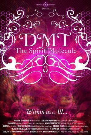 Descargar The Spirit Molecule